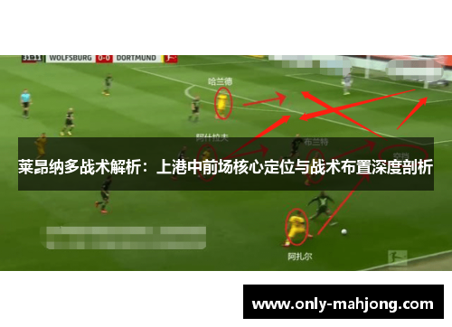莱昂纳多战术解析：上港中前场核心定位与战术布置深度剖析