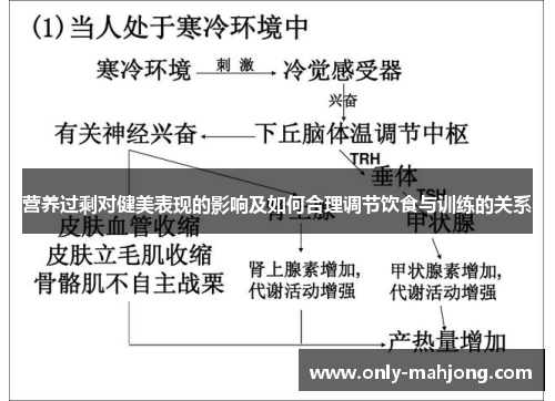 营养过剩对健美表现的影响及如何合理调节饮食与训练的关系