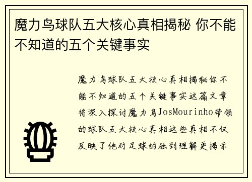 魔力鸟球队五大核心真相揭秘 你不能不知道的五个关键事实