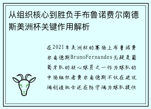 从组织核心到胜负手布鲁诺费尔南德斯美洲杯关键作用解析
